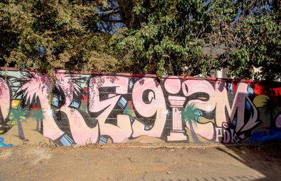 Carousel Image number 8