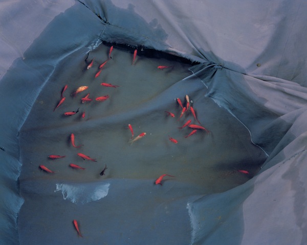 Carousel Image number 5