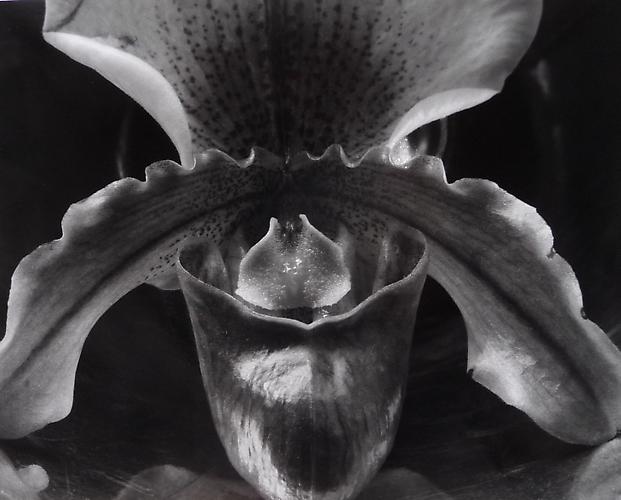 Carousel Image number 14