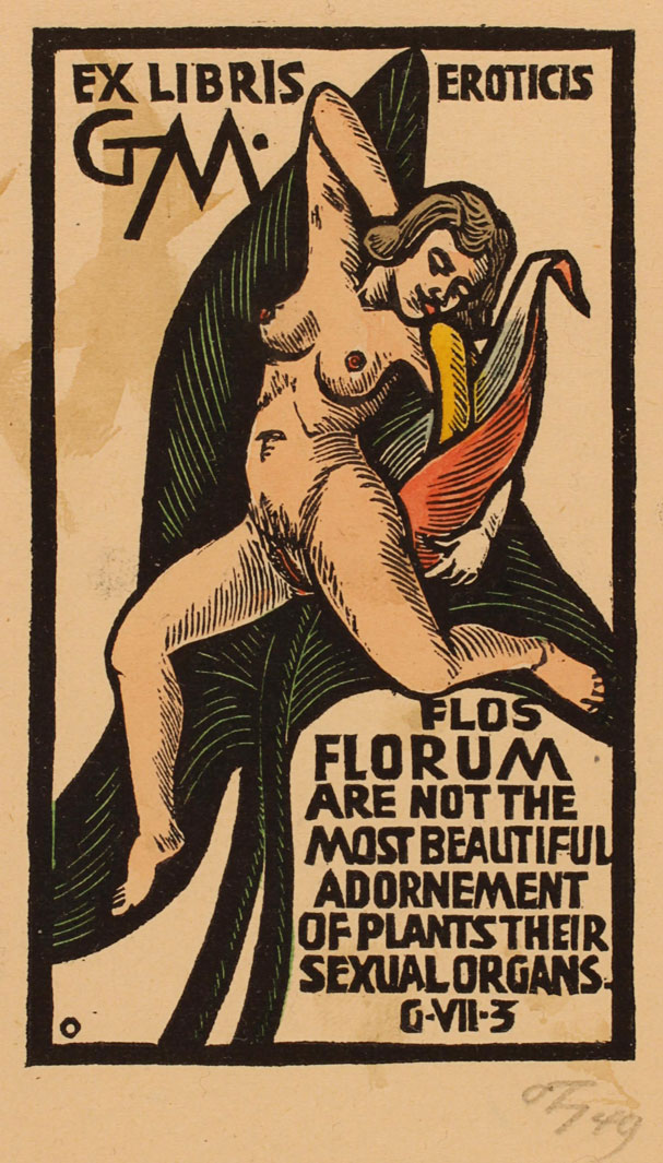 Carousel Image number 15