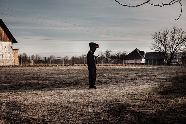 Carousel Image number 5