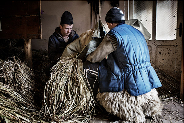 Carousel Image number 6