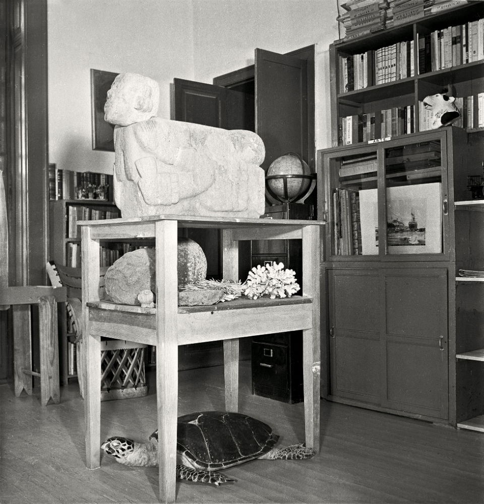 Carousel Image number 8