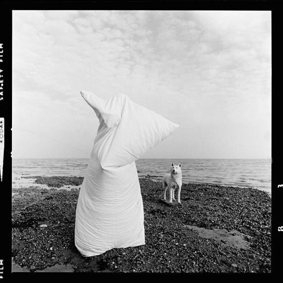 Lumiere & Son, Hunstanton, Norfolk, UK, 1976