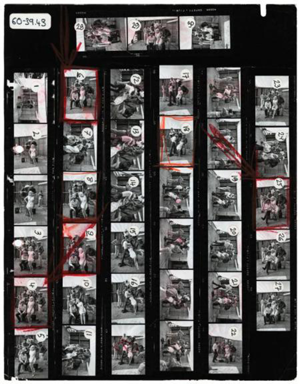 Carousel Image number 8