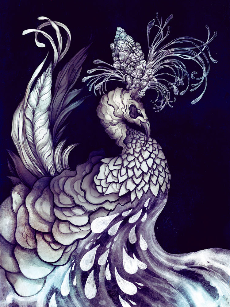 Carousel Image number 1