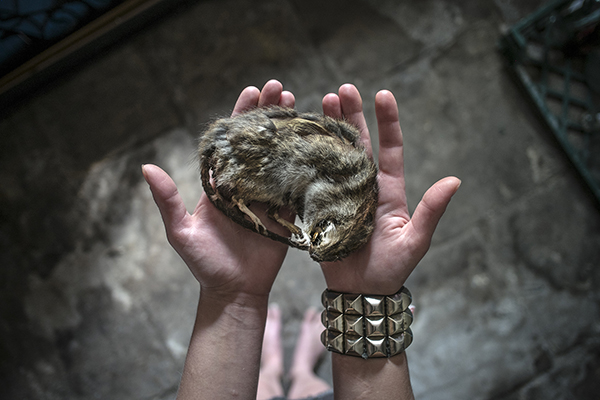 Carousel Image number 5