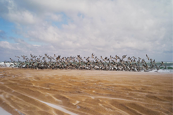 Carousel Image number 3