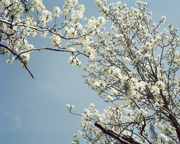 Carousel Image number 3