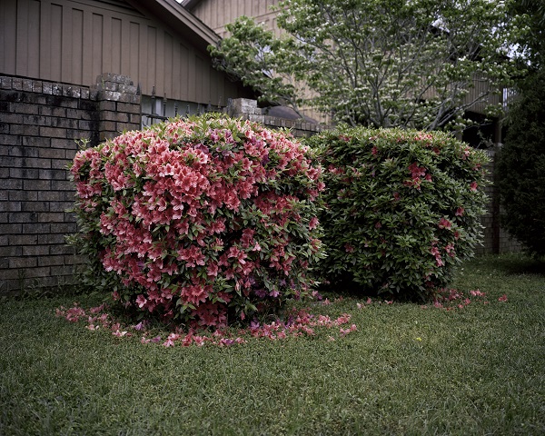 Carousel Image number 8