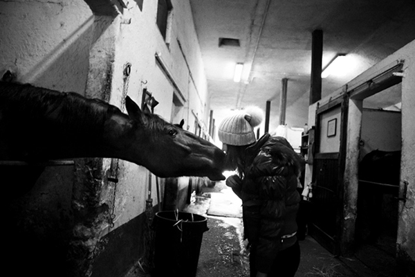 Carousel Image number 5