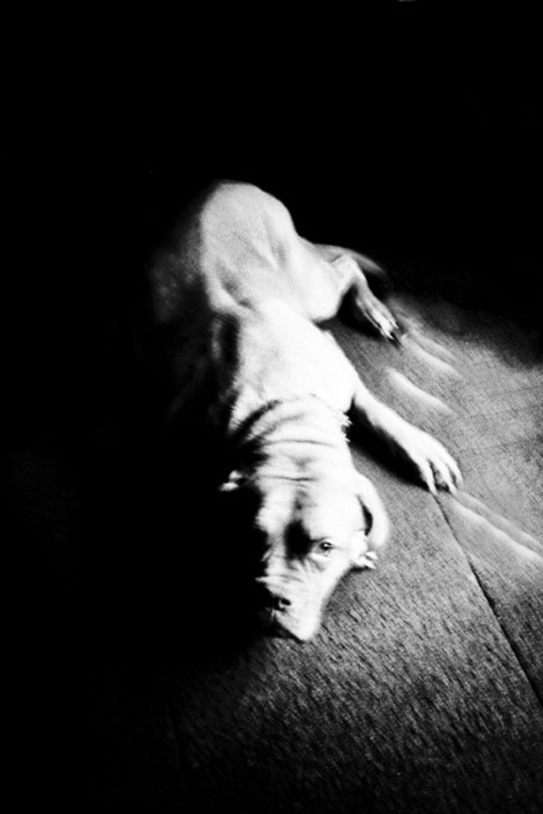 Carousel Image number 7