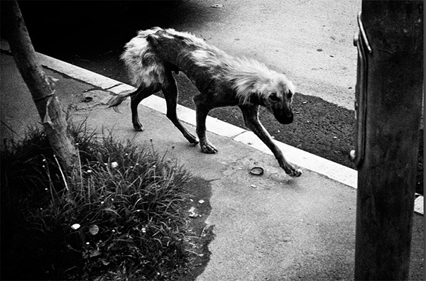 Carousel Image number 14