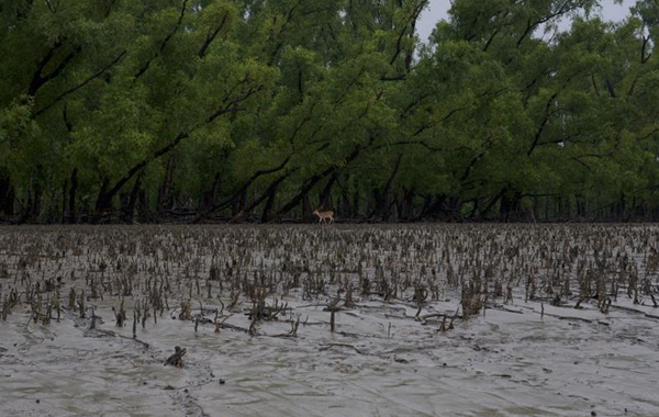 Carousel Image number 1