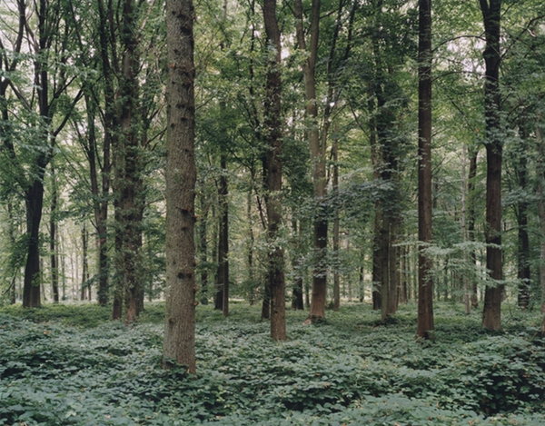 Carousel Image number 4