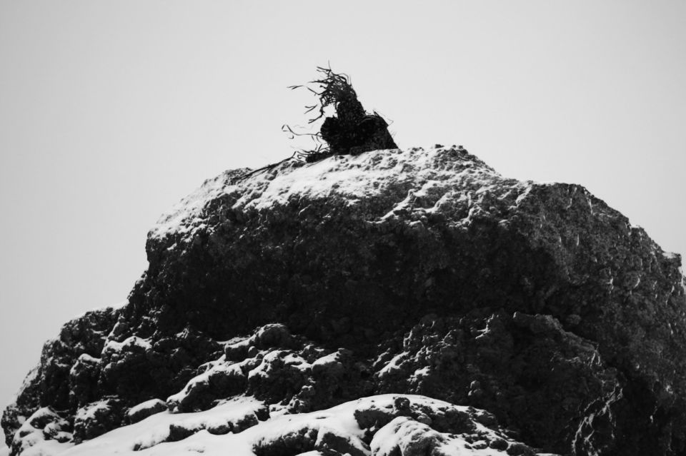 Carousel Image number 4