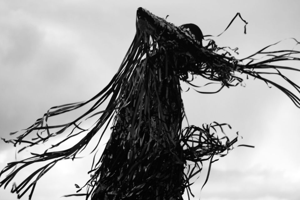 Carousel Image number 12