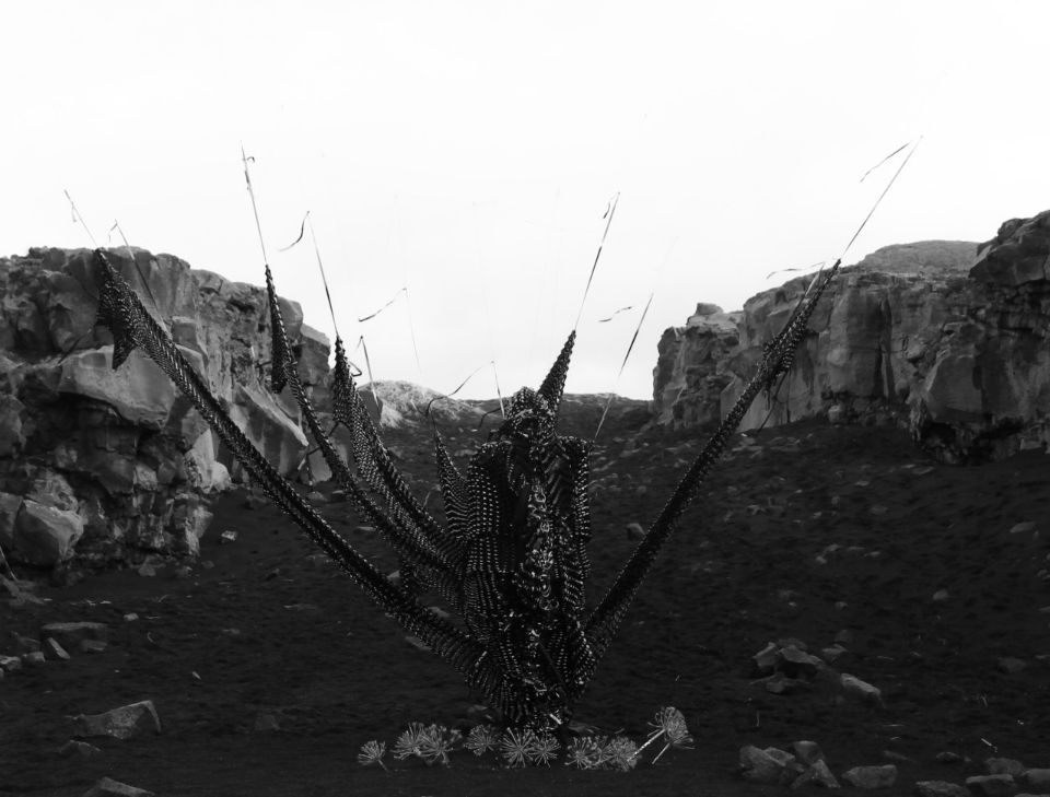 Carousel Image number 18