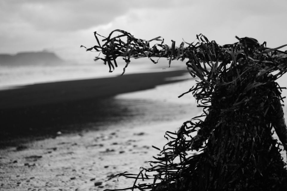 Carousel Image number 22