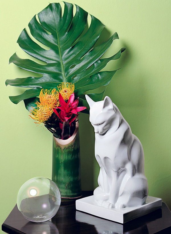 Carousel Image number 11