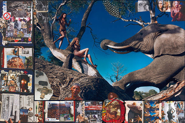 Carousel Image number 5