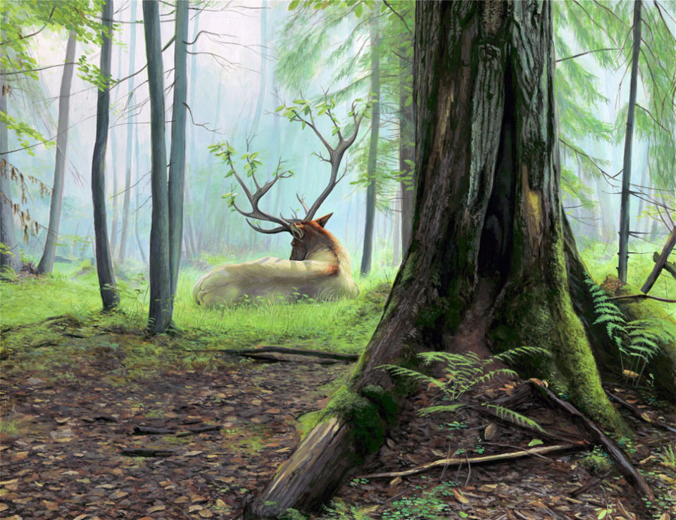 Carousel Image number 1