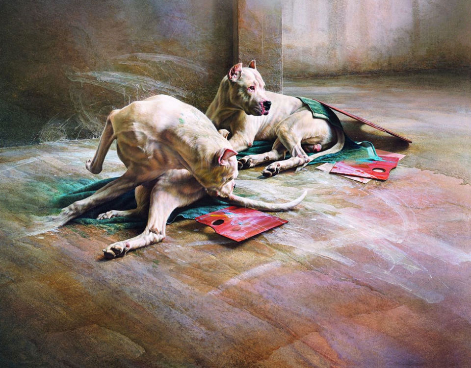 Carousel Image number 1