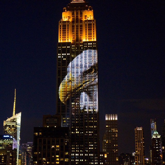 photo by @andrew_bass7