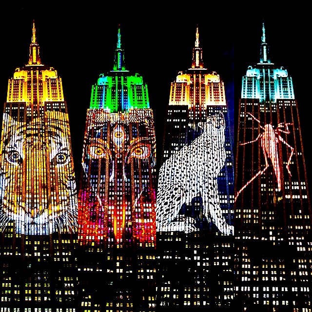 photo by @twistedlamb