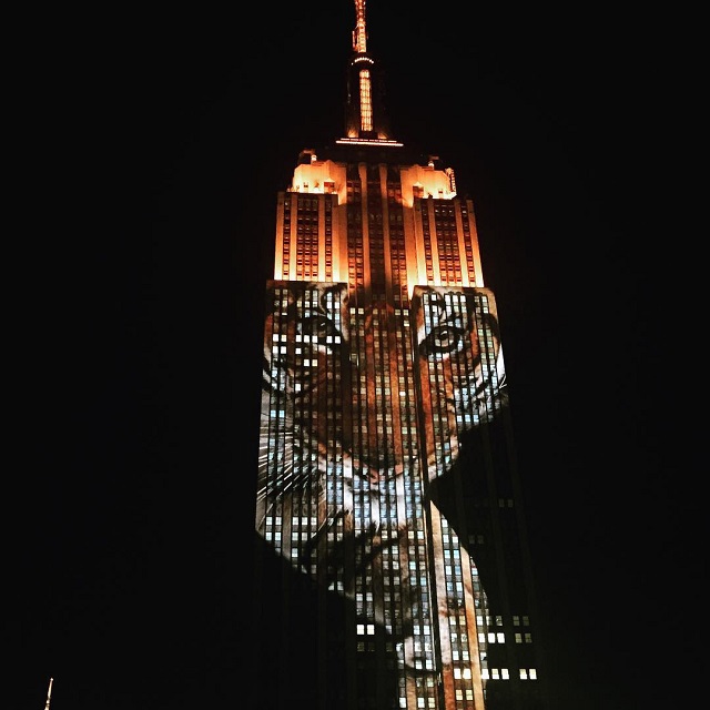 photo by @discoverychannel