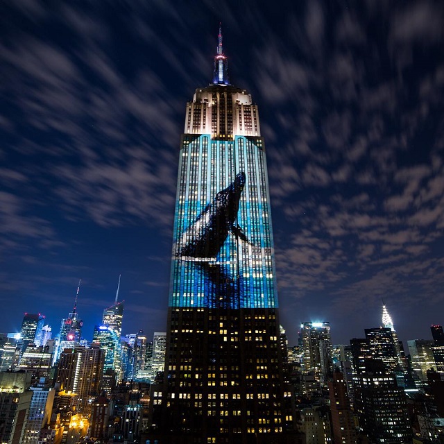 photo by @oceanicpreservationsociety