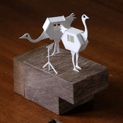 Carousel Image number 5