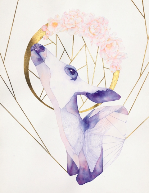 Carousel Image number 2