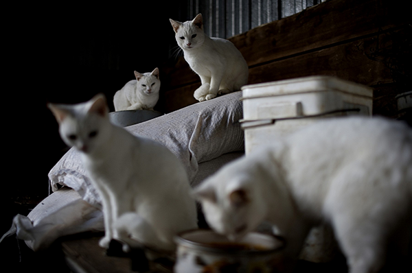 Carousel Image number 3