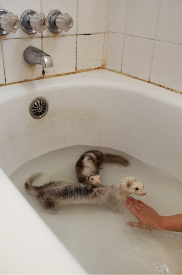 Carousel Image number 6