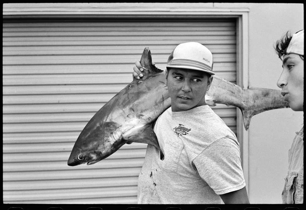 Carousel Image number 3