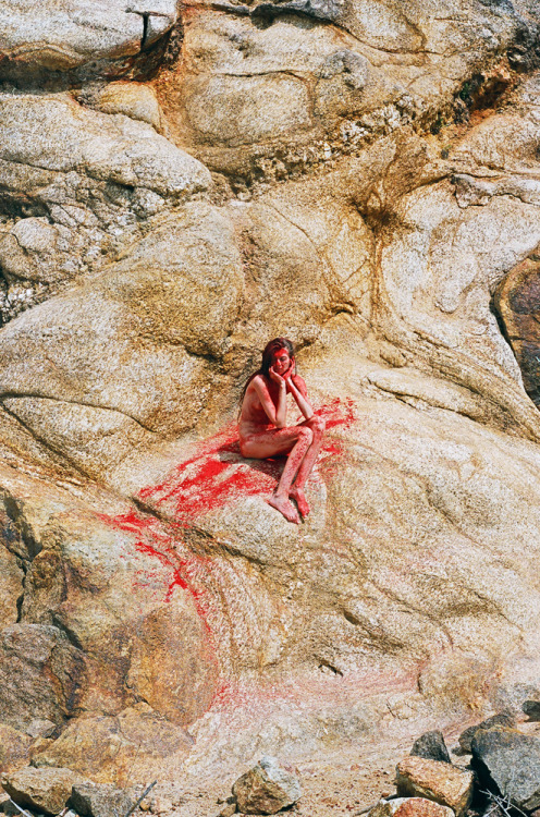 Carousel Image number 7