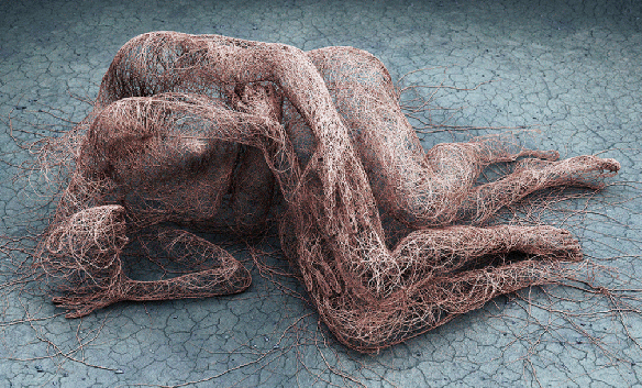 Carousel Image number 5