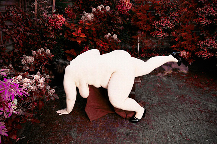 Carousel Image number 11