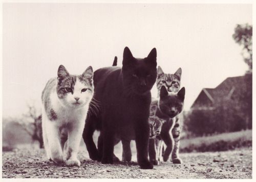 Carousel Image number 2