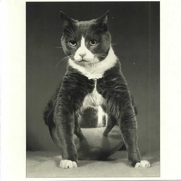 Carousel Image number 3