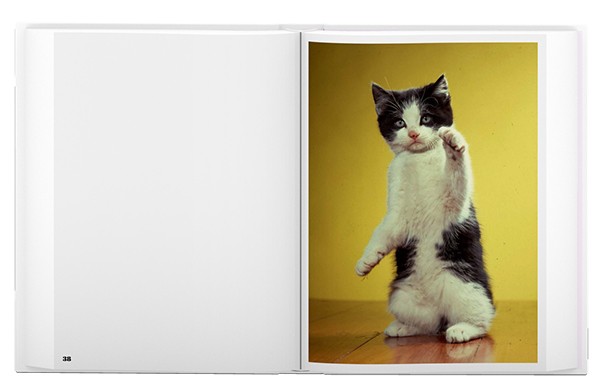 Carousel Image number 6