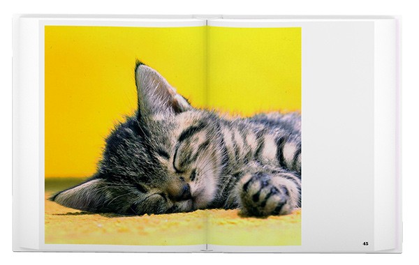 Carousel Image number 7