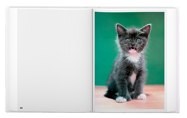 Carousel Image number 8