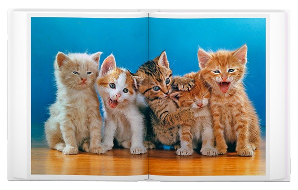 Carousel Image number 10