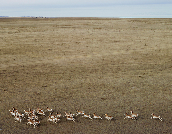 Carousel Image number 6