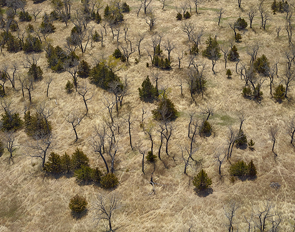 Carousel Image number 9