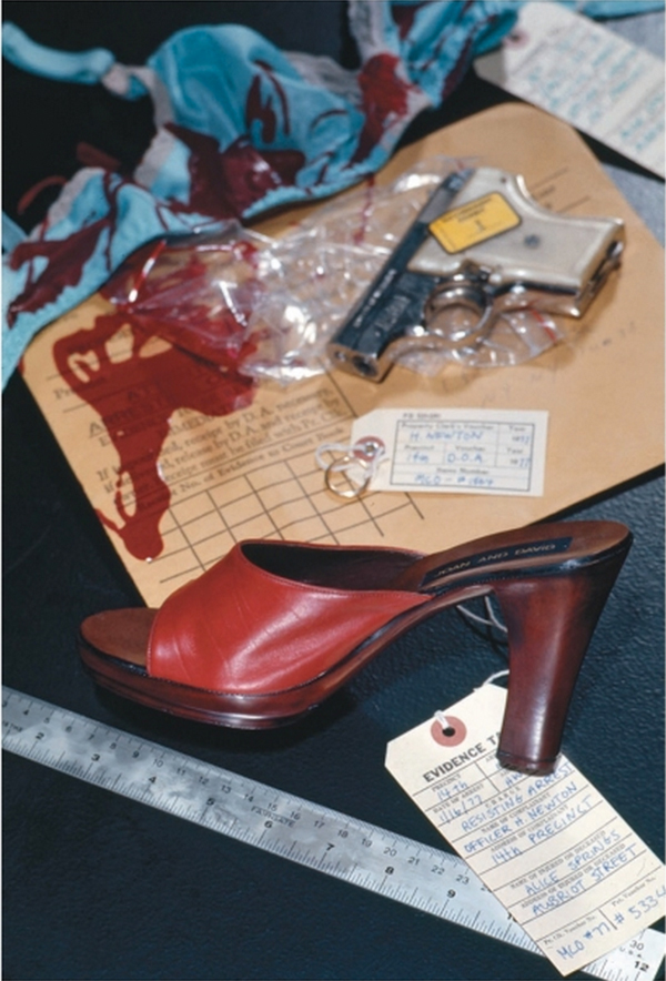 Carousel Image number 4