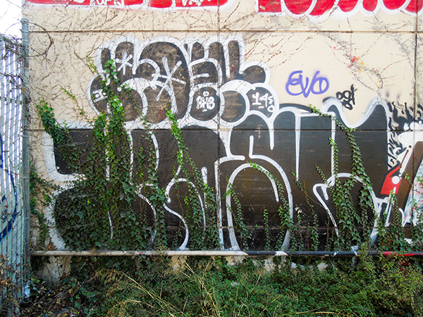 Carousel Image number 6