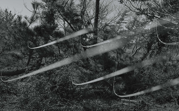 Carousel Image number 5